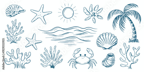 Collection of hand drawn seaside elements including shells starfish sun waves palm tree and coral