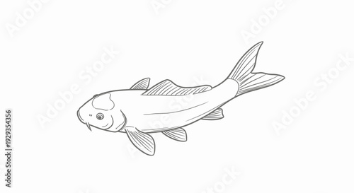 Koi Fish Drawing, Japanese Carp Sketch, Asian Aquatic Animal Illustration