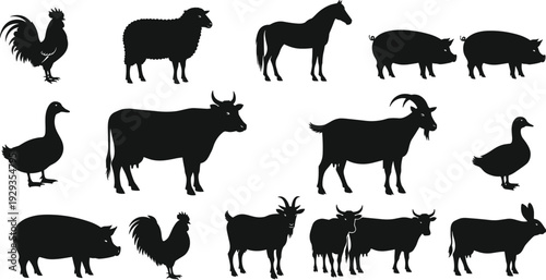 Collection of Domestic Farm Animal Silhouettes Including Cow Horse Pig Sheep Goat Chicken Duck and Rabbit Isolated on White Background
