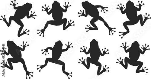 Frog silhouette vector illustration featuring dynamic jumping poses arranged in rows, symbolizing nature, wildlife, amphibians, motion, and decorative design.