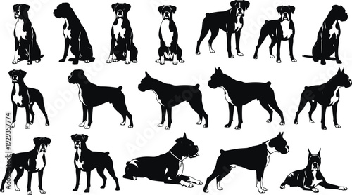 Large Collection of Boxer Dog Silhouette Vector Illustrations Featuring Purebred Canine Poses Including Standing Sitting and Lying Down Action Shapes