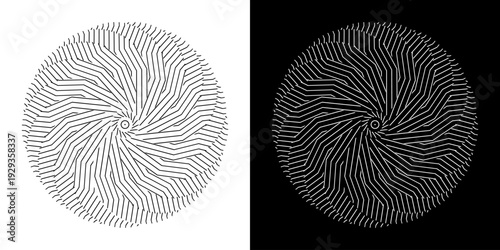 Abstract background with abstract line pattern in circles. Spiral art design as a logo or icon. A black figure on a white background and the same white figure on a black side. Mandala design with line