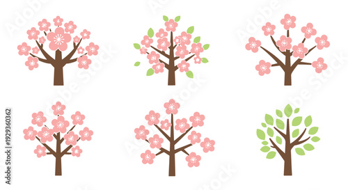 Spring blossom tree abstract color composition illustration