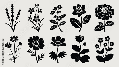 Black silhouettes of various flowers and plants floral