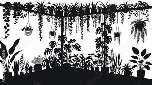 Black silhouette of various potted plants on shelves and hanging