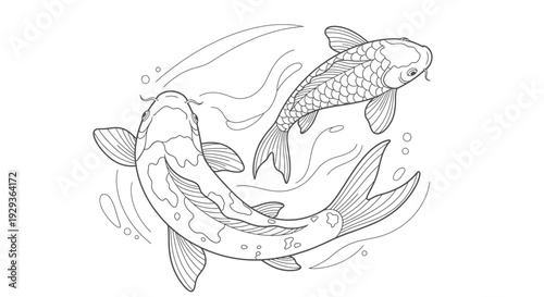 Koi Fish Drawing Outline, Yin Yang Symbol, Water Movement, Zen Symbolism