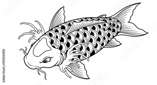 Black and White Koi Fish Illustration - Traditional Japanese Tattoo Art Style