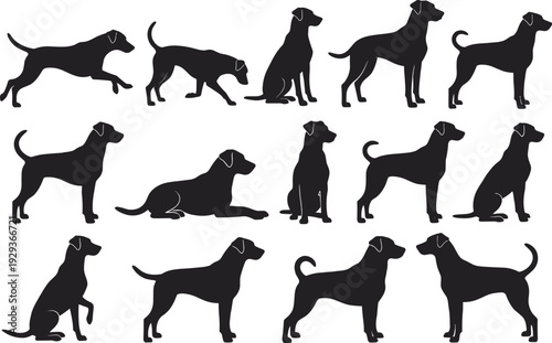 Black silhouette illustrations of dogs, standing, sitting, walking, running, lying down, canine poses, pet behavior, animal anatomy, design reference, educational artwork