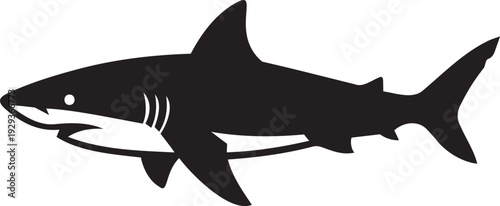 Great White Shark Vector Silhouette Isolated on White Background
