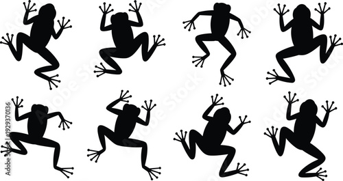 Silhouette frogs in multiple dynamic poses including jumping, climbing, and sitting, arranged in artistic vector illustration for design and pattern use