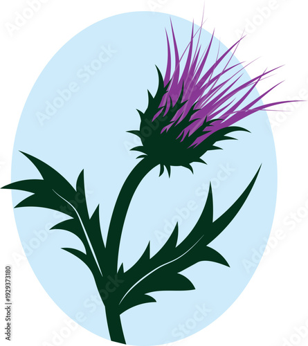 a sprig of thistle in a frame