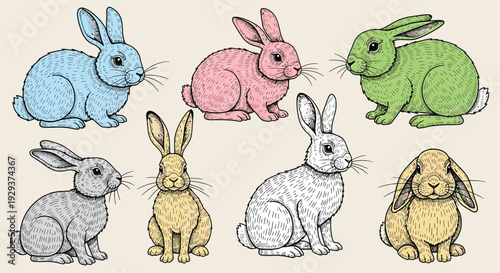 Collection of colorful rabbits and hares in hand drawn style