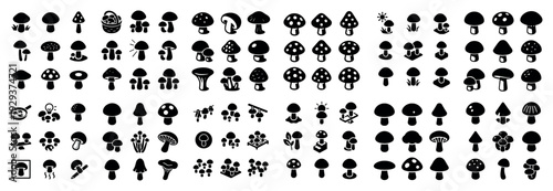 Detailed mushroom silhouette variations and small fungal icons.