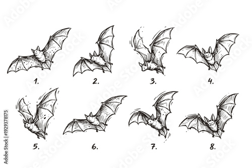 Bats Flight Set Collection Hand Drawn Sketch Different Flying Poses Dynamic Movement Nocturnal Creatures Line Art Card Design