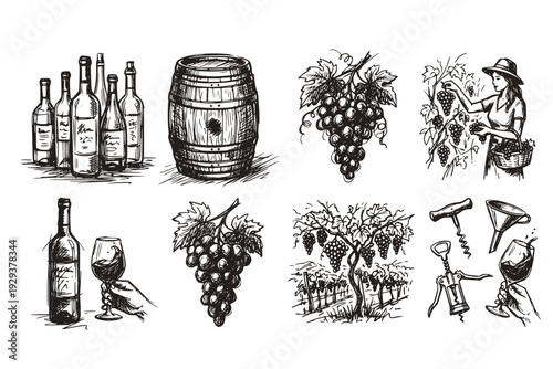 Traditional Winemaking Elements Set Hand Drawn Sketch Wine Bottle Glass Wooden Barrel Grapes Woman Harvesting Basket Vineyard