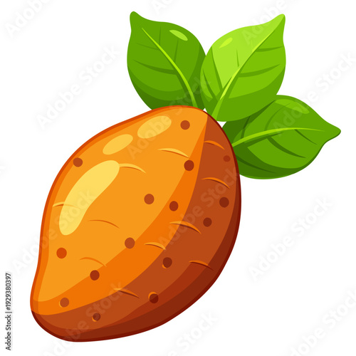 Sweet potato vector illustration white background 