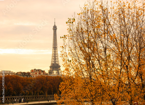 Seasonal tourism in Europe. Eiffel tower and golden autumnal trees at sunset. Seine river promenade at autumn. Paris, France. 
