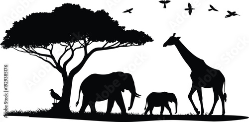 Black silhouette illustration of African savanna wildlife with elephants, giraffe, tree, and birds representing nature and ecosystem themes