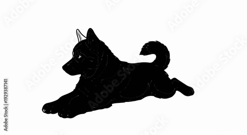 Black dog with fluffy fur, alert ears, and curled tail