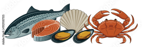 A digital illustration of fresh seafood arranged on a white background (2)_traced