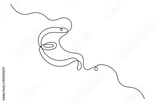 Continuous line drawing of a stomach icon isolated on white background
d
