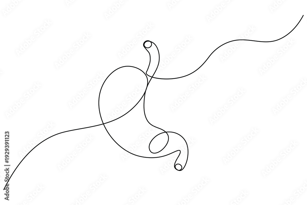 Obraz premium Continuous line drawing of a stomach icon isolated on white background 