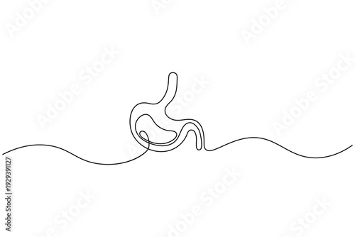 Continuous line drawing of a stomach icon isolated on white background
