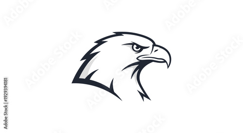 Black and White Eagle Head Illustration.