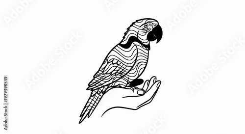 Stylized parrot perched on a human hand, black and white outline art