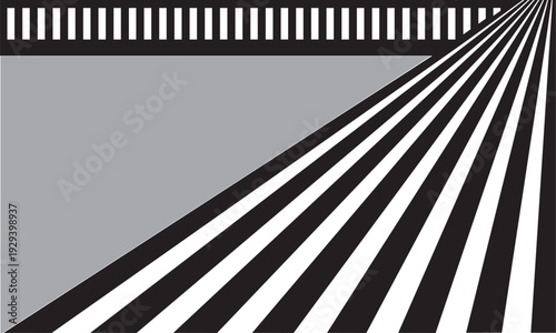 Female legs on zebra crossing black and white abstract background