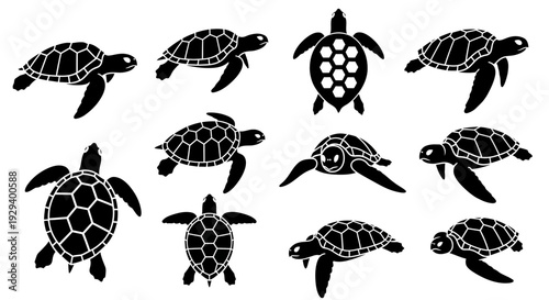 Collection of black and white turtle silhouettes in various poses.