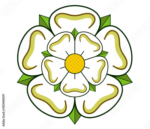 White Rose of York