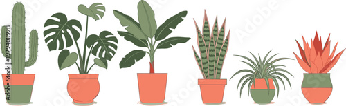 Indoor Potted Houseplants Vector Set with Cactus, Monstera, Banana Plant, Snake Plant and Decorative Home Garden Illustration