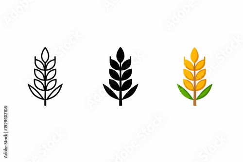 Evolution of wheat symbol: outline, solid black, and colored versions on white background