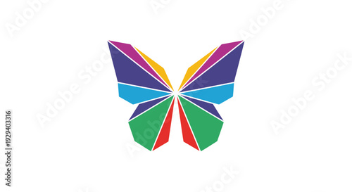Colorful Geometric Butterfly Shape Illustration.