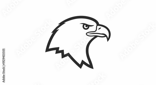 Eagle Head Illustration Simple Line Art.