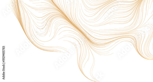 Elegant abstract design fea...