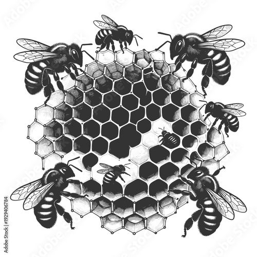 bees working on a honeycomb, symbolizing teamwork, productivity, nature, and organic honey production sketch engraving generative ai vector illustration. Scratch board imitation. Black and white image