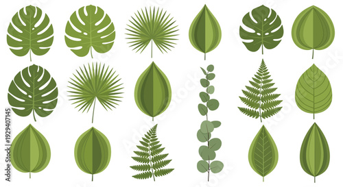 Assorted Green Leaves Displaying Diverse Shapes and Textures for Botanical Study.