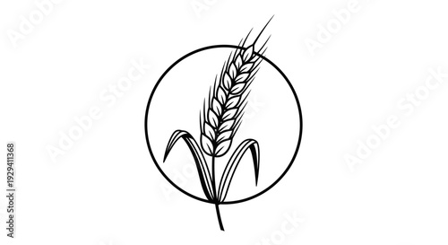 Outline wheat stalk icon, agriculture symbol in circular frame, natural food element, isolated white background.