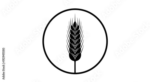 Simple Wheat Ear inside Circle Frame, Cereal Grain Icon, isolated white background