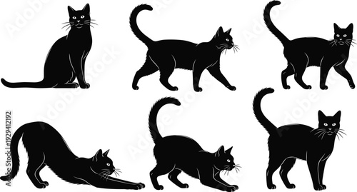 Black cat silhouettes set, domestic feline poses collection isolated on white background vector illustration for Halloween design
