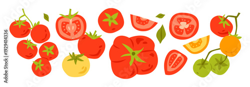 Fresh organic tomatoes, including cherry and heirloom varieties. Healthy Mediterranean vegetable concept isolated on white background. Flat vector illustration.