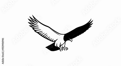 Black and white illustration of a bird of prey with wings spread wide