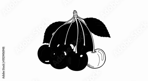 Black and white illustration of a cluster of cherries with leaves