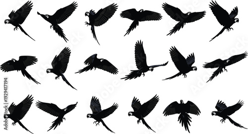 Black silhouette illustration set of parrots in dynamic flying positions with detailed wings, tail feathers, and beaks, perfect for avian, decorative, and design purposes