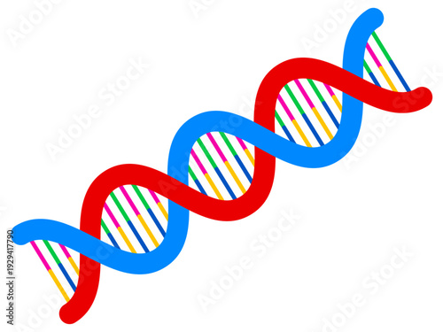 遺伝子DNAの螺旋構造のイラスト素材