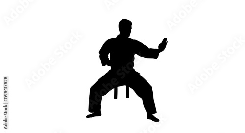 Silhouette of a person in a martial arts gi performing a karate stance with wide legs and raised arms on a white background.