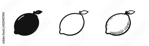 Lemon Icon Set: Solid, Outline, and Hand-Drawn Whole Citrus Fruit Symbols on White Background