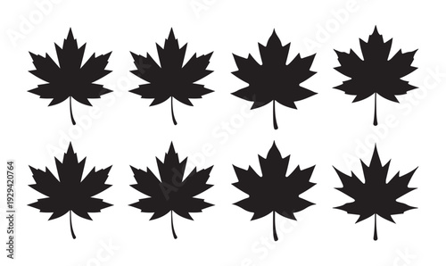 Black maple leaf silhouettes set on white background simple icons for autumn and canada symbol
